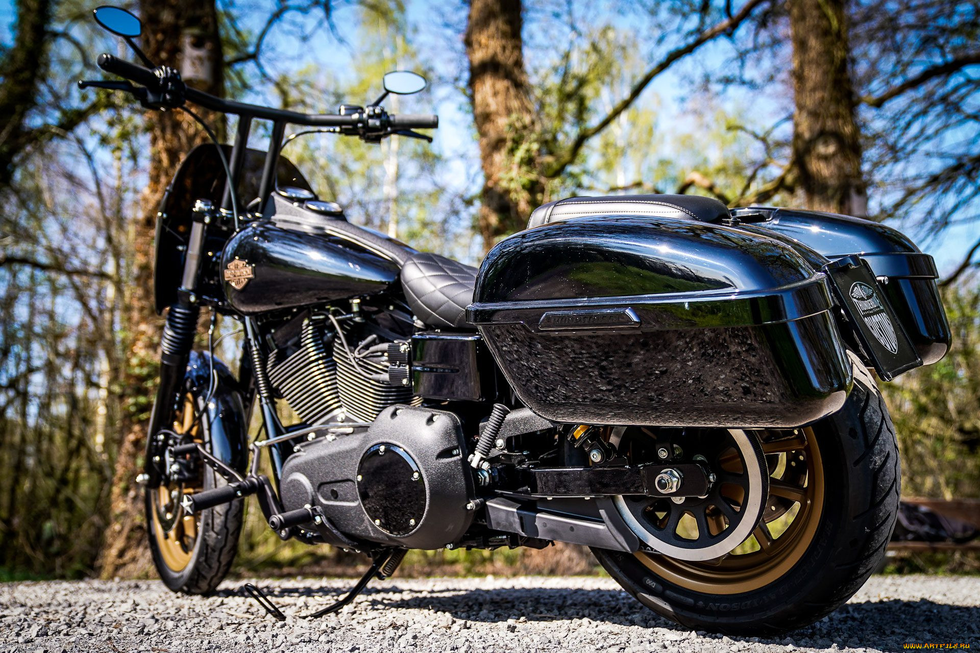 , , harley-davidson, , , thunderbike, customs